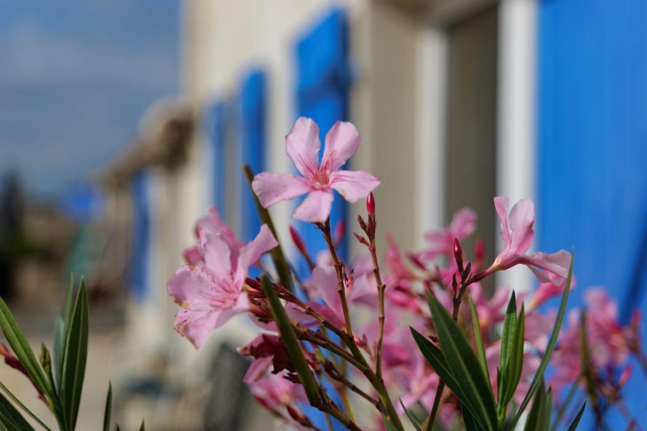 Moulin De Mauzac Bed & Breakfast Saint-Just-Luzac Exterior photo